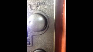 Greg And Steve: Going On A Bear Hunt