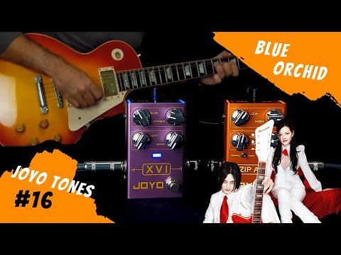 Joyo Tones #16   Blue Orchid - White Stripes | Pedal joyo XVI / Zip Amp