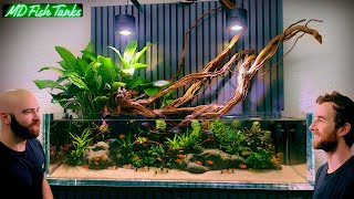 The Most Custom Aquarium I've Ever Made & Amazing Planted Aquascape