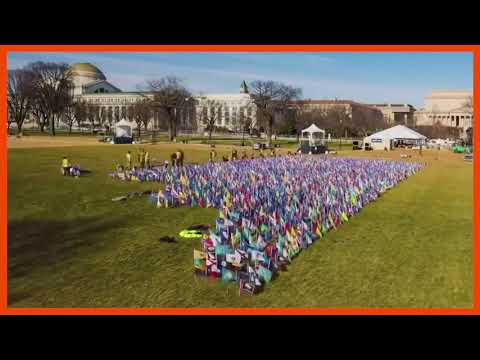 バイデン就任式の旗のタイムラプス (Time lapse of Biden inauguration flags)