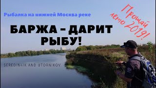 Ссылка