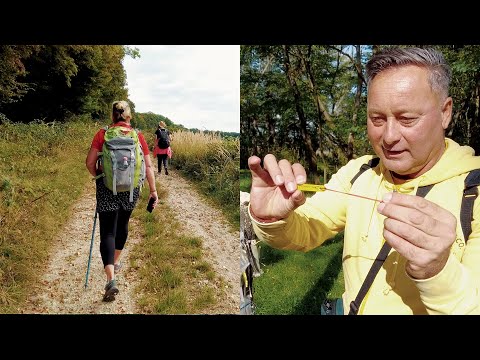 Camino Benedictus - Sihellékkel