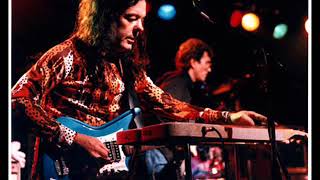 David Lindley - El Rayo X