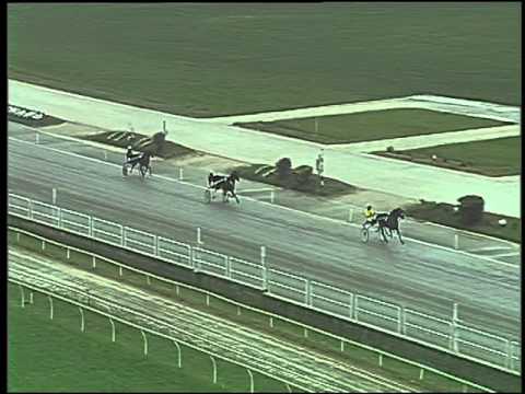 Trotto 26/11/2015 - prova di qualifica e riqualifica