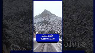إقبال كبير للزوار على منطقة أيت ويرة بإقليم بني ملال للاستمتاع بالثلوج الاستثنائية thumbnail