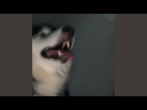 PANIC (feat. N/A) - YouTube