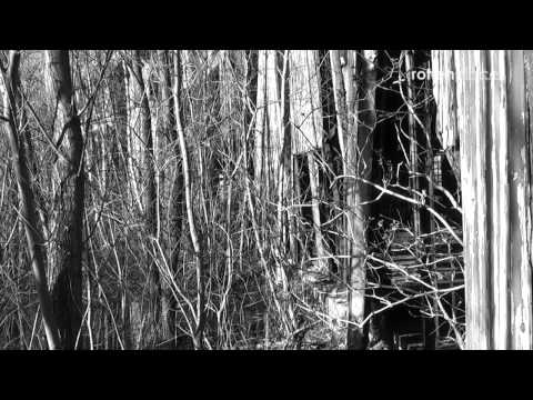 Bahnbetriebswerk Rheine (Westf.)