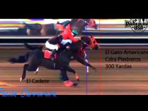 Carrera de El Cadete vs El Gato Americano 5 30 2015