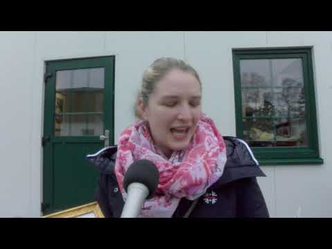 Hengststation Maas J. Hell - Deckgeldgutschein gewonnen!