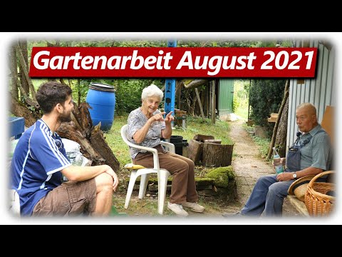 Gartenarbeit August | Dachs, Gemüse im Feuer, Unkraut entfernen, Himbeeren schneiden, erste Äpfel