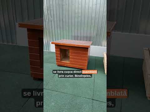 Livrare custilor de caine asamblate vs dezasamblate