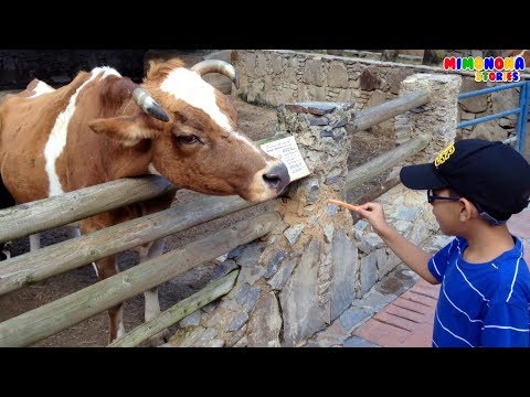 Diego y Miguel visitan Expanzoo 🐷🐮  Animales reales -  Videos para niños - Mimonona Stories Video