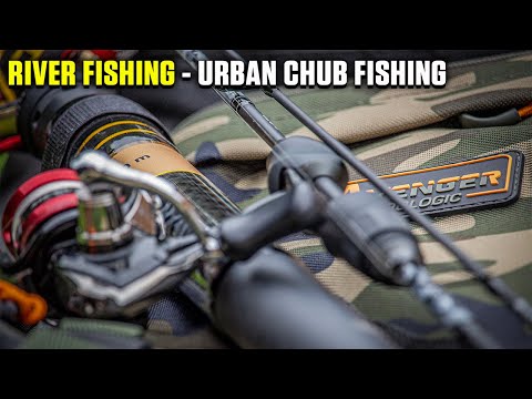 Stalking FISH on URBAN river!