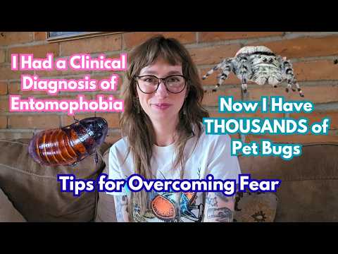 How I Overcame My Fear of Bugs. My Story + Practical Tips