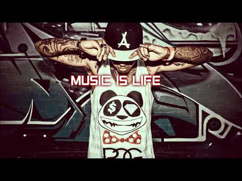 Le Boeuf X Noah Guthrie Sexy And I Know It LMFAO Cover by Noah rm