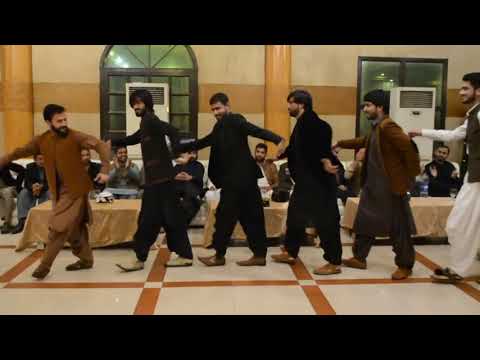 Kamo Kamo Habar Balochi Song By Agriculture University Faisalabad Student