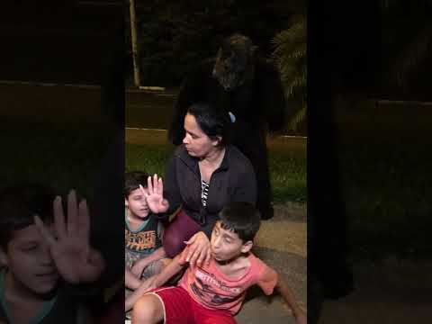 The werewolf #comedy #shorts #memes