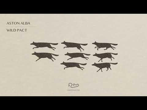 Aston Alba - Wild Pact [OHM Collective]