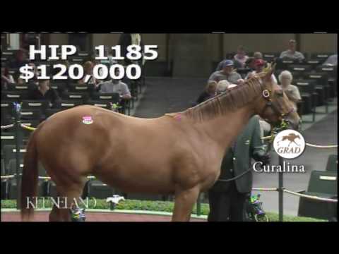 G1 La Troienne winner CURALINA as a Keeneland September Yearling