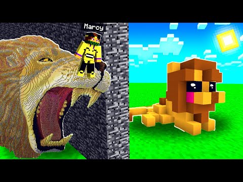 HO IMBROGLIATO ZEYXON NELLA GARA DI COSTRUZIONE DI MINECRAFT