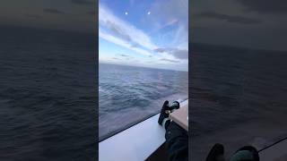 Bar Hopping & Eating Everything at Sea | 7-Day Alaskan Cruise |  Norwegian Bliss | Day 2 [2023]