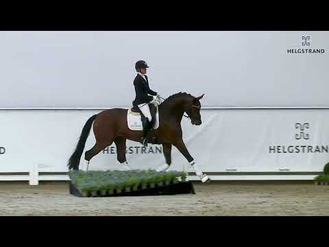 Be Sure by Benicio / Scuderia - stallion born 2018 (GER)