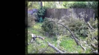 preview picture of video 'Hurricane Ike in Oak Ridge North'
