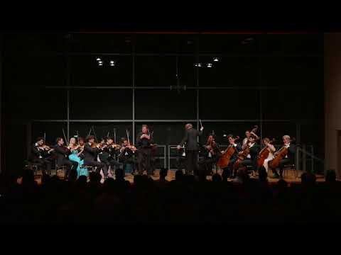 iPalpiti/Schmieder. Schubert – Der Einsame. Wolfgang Holzmair, Baritone