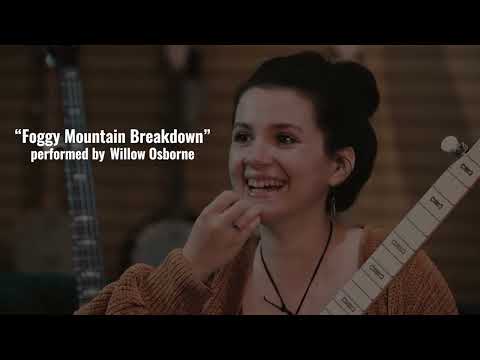 Deering Artisan Goodtime Special 5-String Banjo image 9