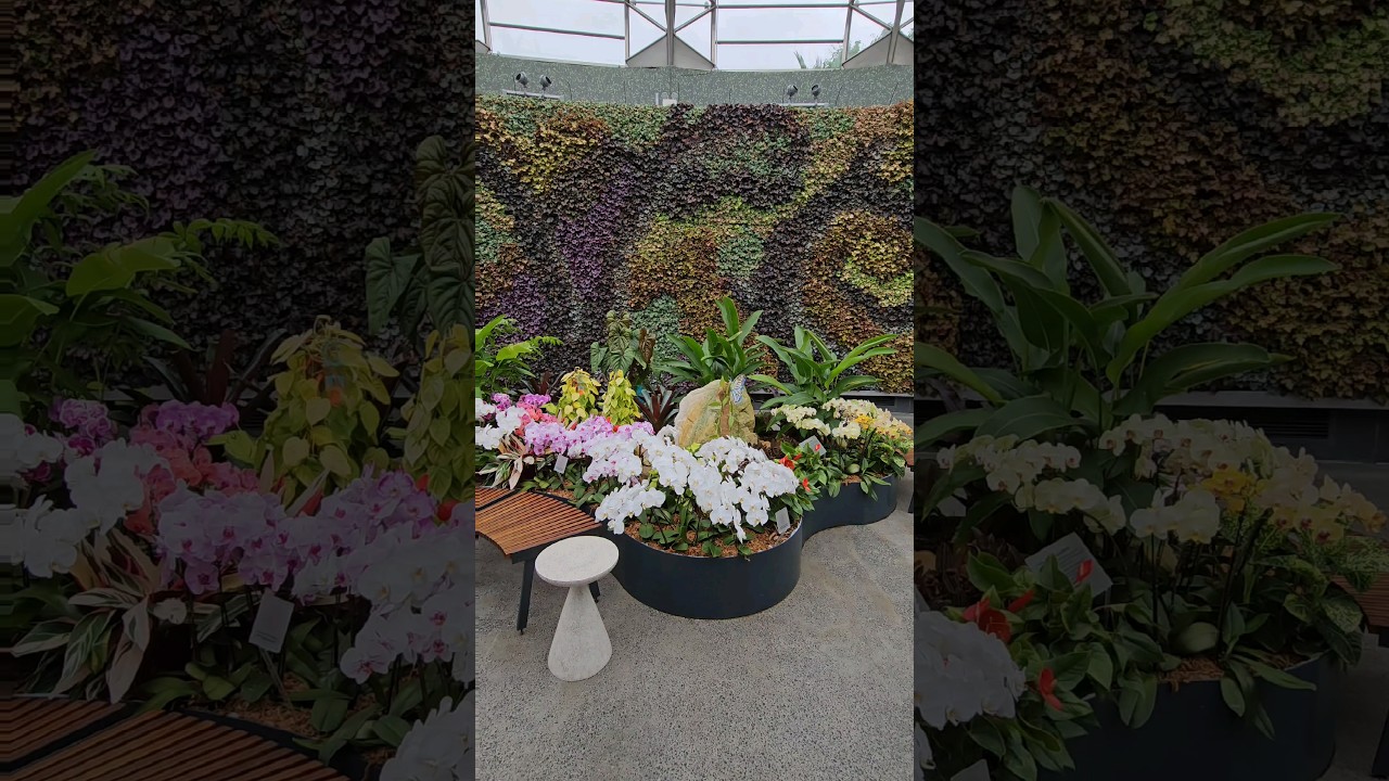 YouTube Short thumbnail