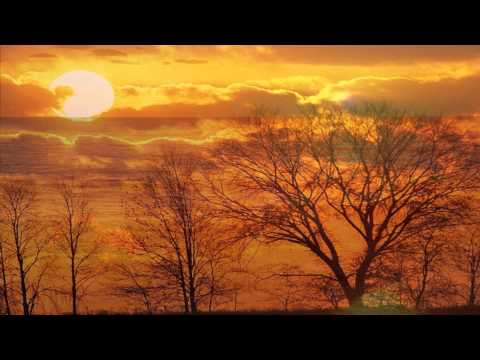 GESPRÄCHE MIT GOTT - Band 1 von N. D. WALSCH Teil 3/4