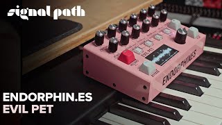 Video thumbnail for Turn Any Sound Into A Synthesizer | Endorphin.es Evil Pet | Deep Dive by Signal Path