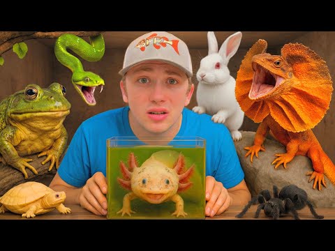 Every Animal i Found in 2025