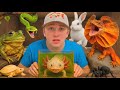 Every Animal I Found In 2025