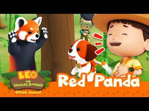 Witness21  2023 03 18