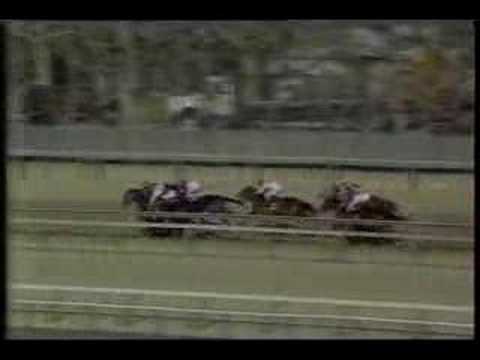 Talkin Man - 1995 Gotham Stakes