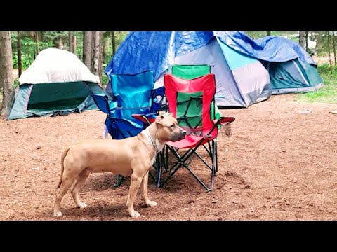 CDET AKA MR.G "Camp Life"