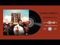 Trechyson Molly Vx DJ Promatic SA Dendofela Botshelo Ke Eng Official Audio