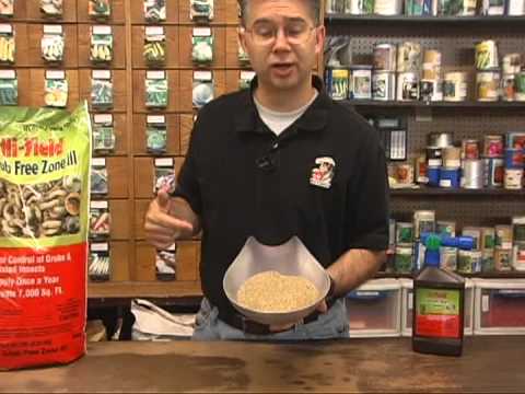 Controlling white grub, billbug, and sod webworm in lawns