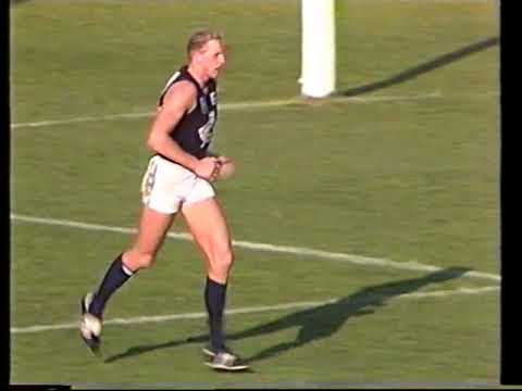 That Was The Season That Was 1987 - VFL/AFL