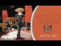 Vicente Fernández - Amor Mío (En Vivo [Cover Audio])
