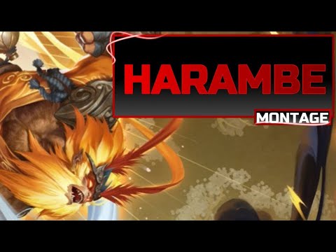 Harambe - Godlike Wukong Montage - [League of Legends]