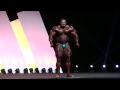 Roelly 