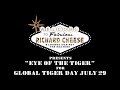 Richard Cheese "Eye Of The Tiger" Music Video (2020) for #GlobalTigerDay