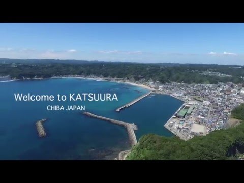 空から見た勝浦市