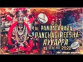 Mallepula Pallaki Bangaru Pallki Ayyappa Songs Remix Dj !!! ///MR DINESH OFFICIAL#ytshorts