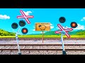 Railroad Crossing Mistaken For A Sheep Raudteeülesõidukoht