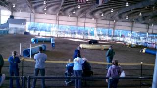 Jocu Slinky Challenge February 13 2016