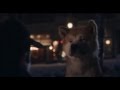 You Don T Have To Wait Anymore He S Not Coming Back Hachi A Dog S Tale