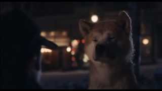 "You don't have to wait anymore. He's not coming back." - Hachi: A Dog's Tale
